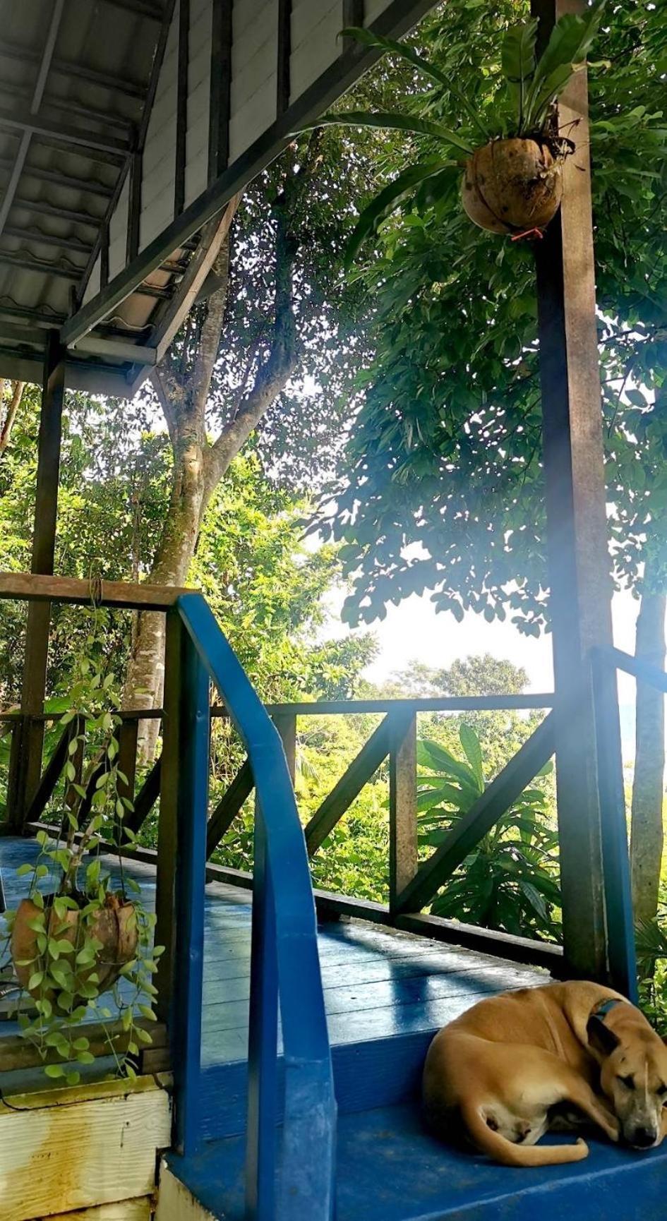 Rasta View Bangalows 코창 외부 사진